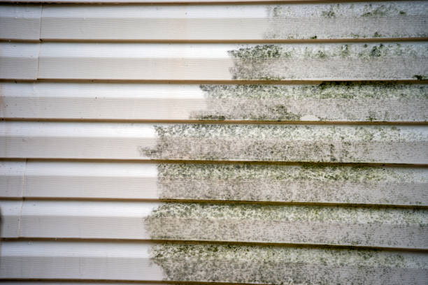  Whitesboro, AL Junk Removal Pros